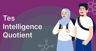 Tes Intelligence Quotient